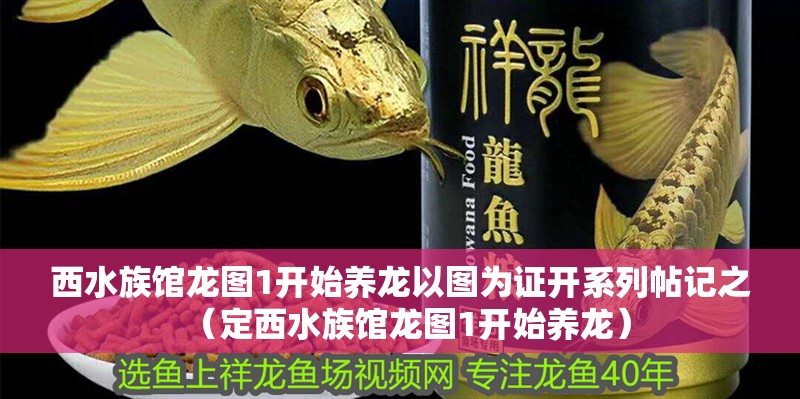 西水族館龍圖1開始養(yǎng)龍以圖為證開系列帖記之（定西水族館龍圖1開始養(yǎng)龍）