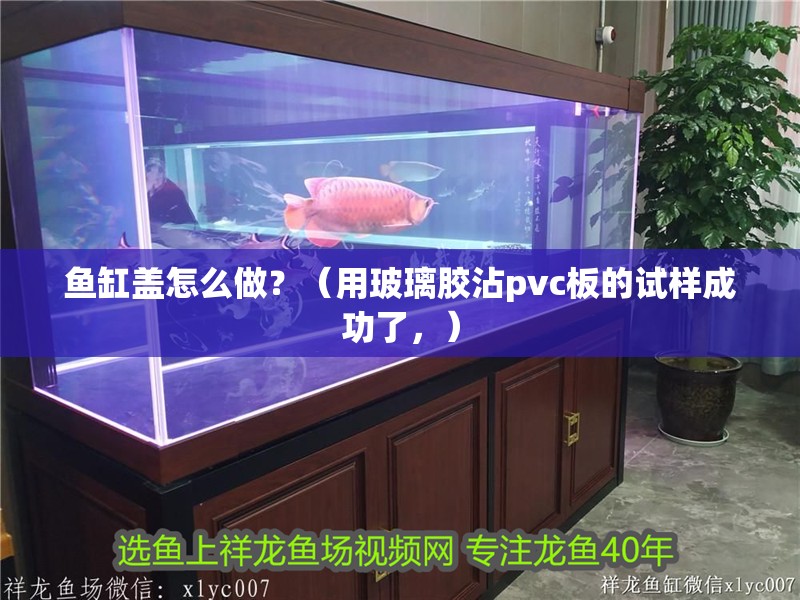 魚缸蓋怎么做？（用玻璃膠沾pvc板的試樣成功了，）