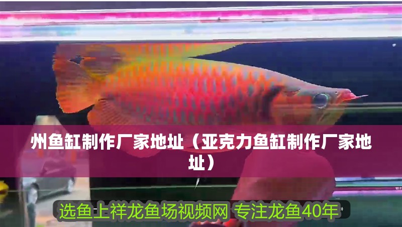 州魚缸制作廠家地址（亞克力魚缸制作廠家地址）