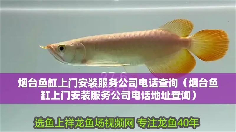 煙臺魚缸上門安裝服務公司電話查詢（煙臺魚缸上門安裝服務公司電話地址查詢）