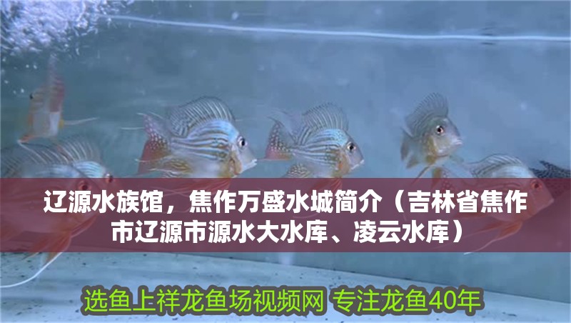遼源水族館，焦作萬盛水城簡介（吉林省焦作市遼源市源水大水庫、凌云水庫）