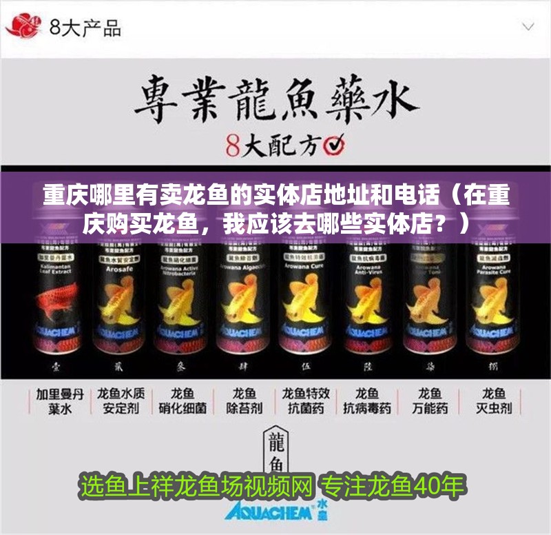重慶哪里有賣龍魚的實體店地址和電話（在重慶購買龍魚，我應該去哪些實體店？）