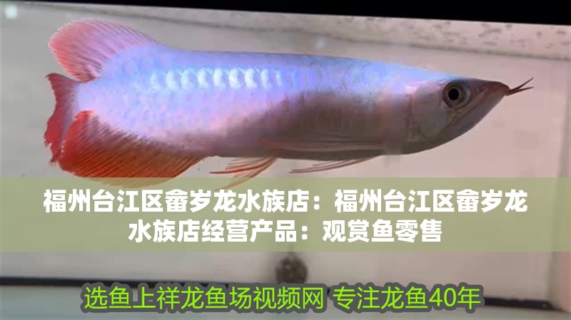 福州臺江區畬歲龍水族店：福州臺江區畬歲龍水族店經營產品：觀賞魚零售