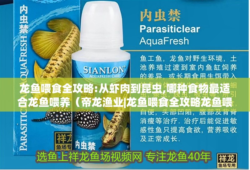 龍魚(yú)喂食全攻略:從蝦肉到昆蟲(chóng),哪種食物最適合龍魚(yú)喂養(yǎng)（帝龍漁業(yè)|龍魚(yú)喂食全攻略龍魚(yú)喂食全攻略）