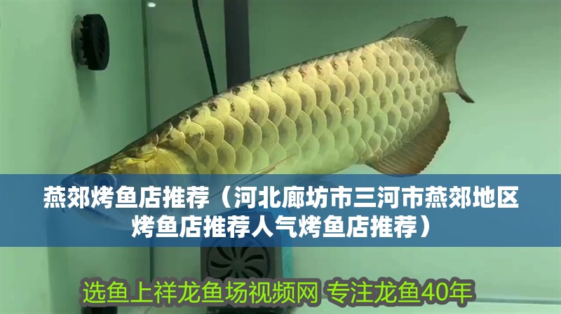 燕郊烤魚店推薦（河北廊坊市三河市燕郊地區烤魚店推薦人氣烤魚店推薦）