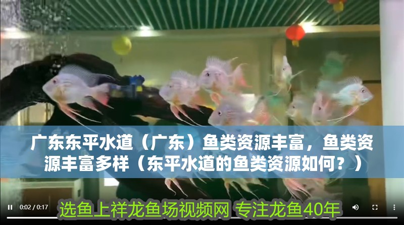 廣東東平水道（廣東）魚類資源豐富，魚類資源豐富多樣（東平水道的魚類資源如何？）