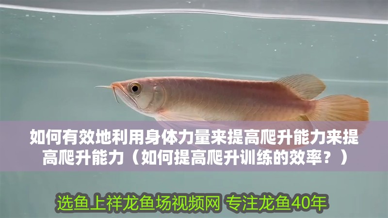 如何有效地利用身體力量來提高爬升能力來提高爬升能力（如何提高爬升訓(xùn)練的效率？）