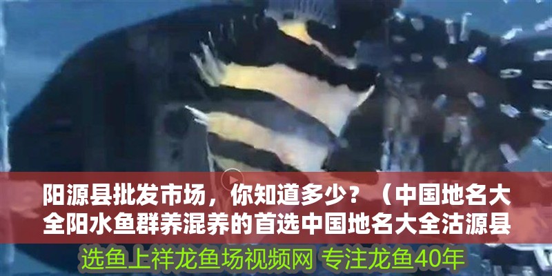陽源縣批發(fā)市場，你知道多少？（中國地名大全陽水魚群養(yǎng)混養(yǎng)的首選中國地名大全沽源縣）