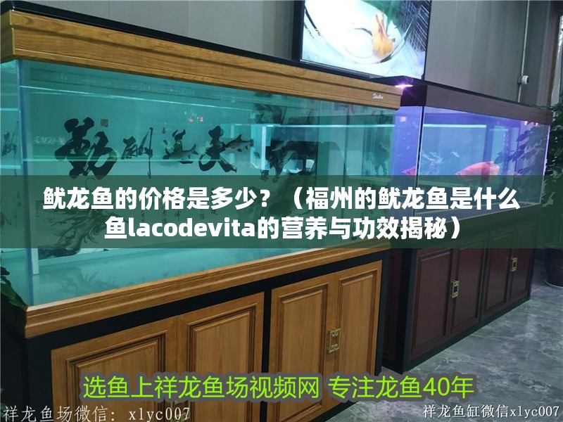 魷龍魚的價格是多少？（福州的魷龍魚是什么魚lacodevita的營養與功效揭秘）