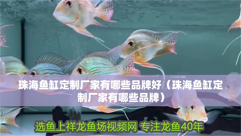 <strong><mark>珠海</mark></strong>魚缸定制廠家有哪些品牌好（<strong><mark>珠海</mark></strong>魚缸定制廠家有哪些品牌）