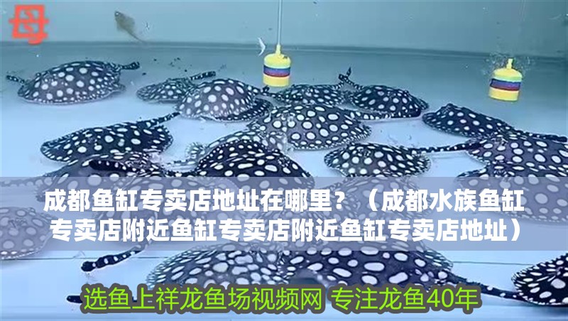 <strong><mark>成都</mark></strong>魚缸專賣店地址在哪里？（<strong><mark>成都</mark></strong>水族魚缸專賣店附近魚缸專賣店附近魚缸專賣店地址）