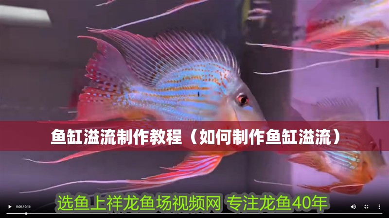 魚缸溢流制作教程（如何制作魚缸溢流）