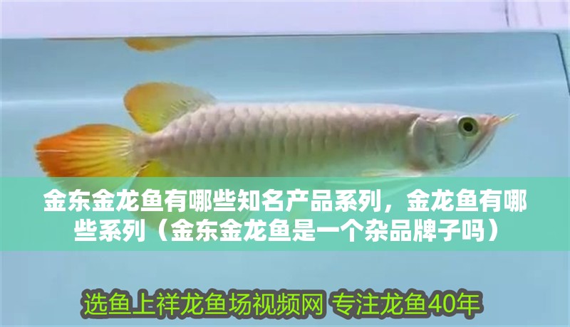 金東金龍魚有哪些知名產品系列，金龍魚有哪些系列（金東金龍魚是一個雜品牌子嗎）