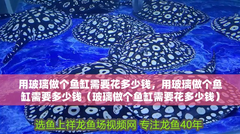 用玻璃做個(gè)魚缸需要花多少錢，用玻璃做個(gè)魚缸需要多少錢（玻璃做個(gè)魚缸需要花多少錢）
