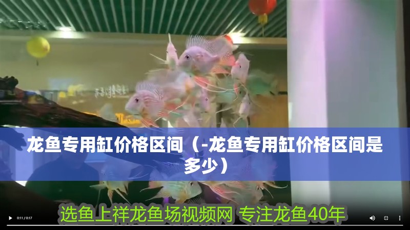 龍魚專用缸價格區間（-龍魚專用缸價格區間是多少）