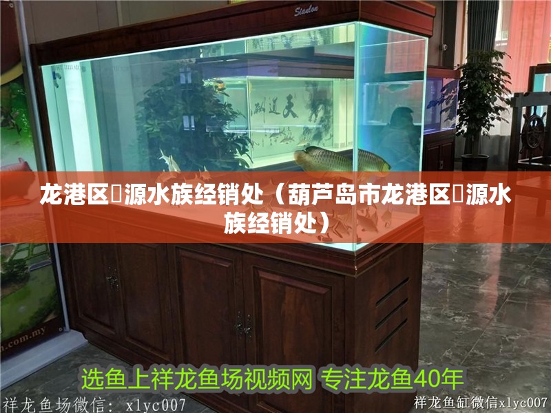 龍港區(qū)湦源水族經(jīng)銷處（葫蘆島市龍港區(qū)湦源水族經(jīng)銷處）