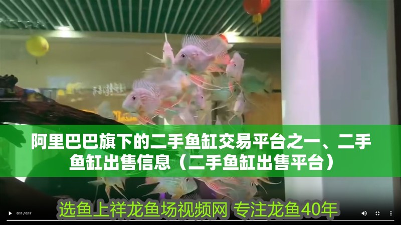 阿里巴巴旗下的二手魚缸交易平臺之一、二手魚缸出售信息（二手魚缸出售平臺）