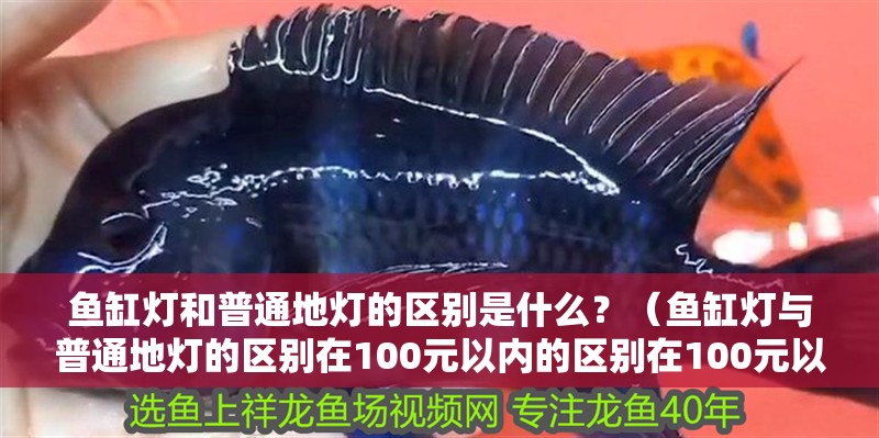 魚缸燈和普通地燈的區別是什么？（魚缸燈與普通地燈的區別在100元以內的區別在100元以內）