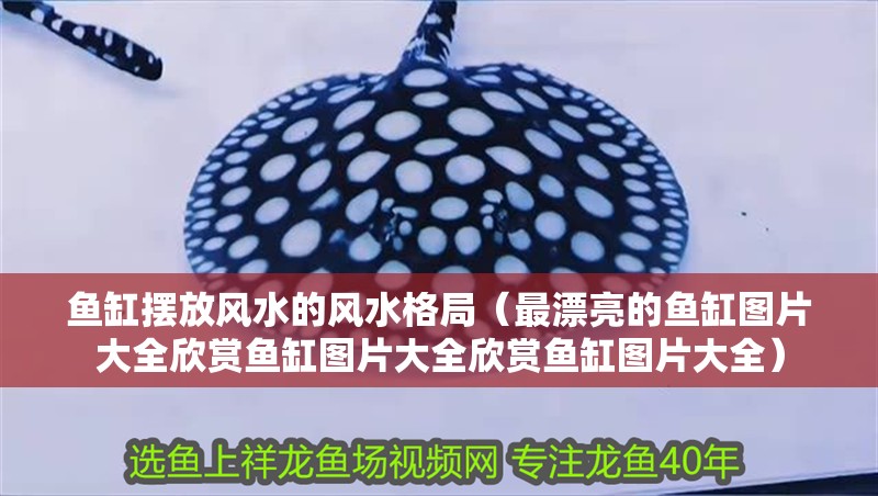 魚缸擺放風水的風水格局（最漂亮的魚缸圖片大全欣賞魚缸圖片大全欣賞魚缸圖片大全） 魚缸擺放風水的風水格局（最漂亮的魚缸圖片大全欣賞魚缸圖片大全欣賞魚缸圖片大全） 觀賞魚百科