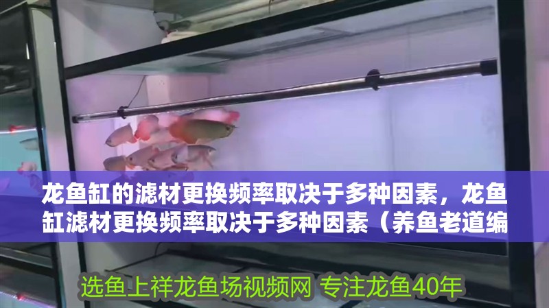 龍魚缸的濾材更換頻率取決于多種因素，龍魚缸濾材更換頻率取決于多種因素（養(yǎng)魚老道編輯，龍魚缸中濾材擺放順序，龍魚缸中濾材清洗時(shí)需要注意什么？）