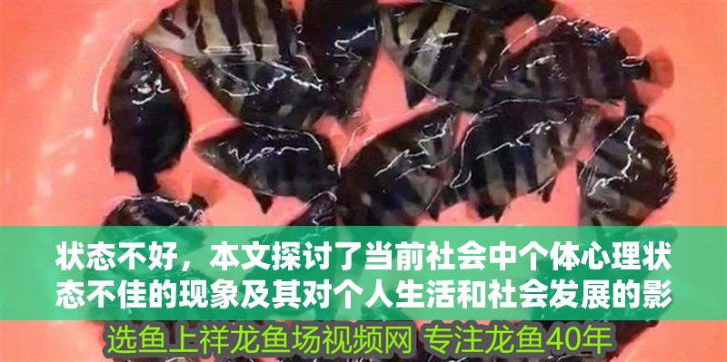 狀態不好，本文探討了當前社會中個體心理狀態不佳的現象及其對個人生活和社會發展的影響（個體心理狀態不佳的原因）