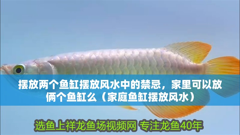 擺放兩個魚缸擺放風水中的禁忌，家里可以放倆個魚缸么（家庭魚缸擺放風水）