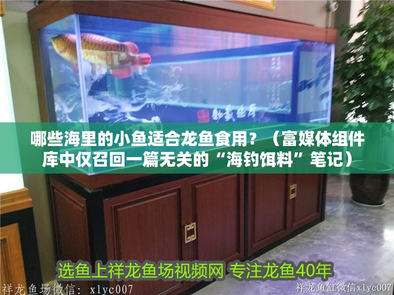 哪些海里的小魚適合龍魚食用？（富媒體組件庫中僅召回一篇無關的“海釣餌料”筆記）