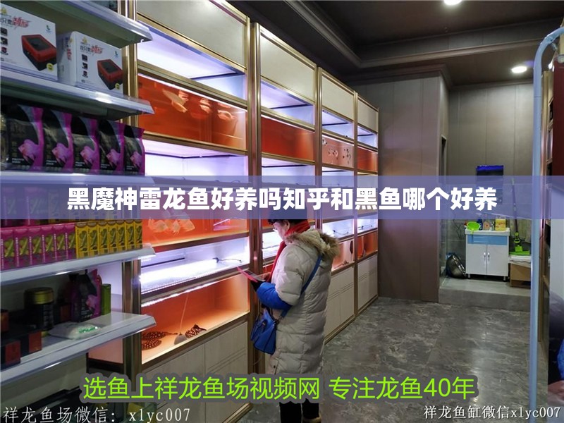 黑魔神雷龍魚好養嗎知乎和黑魚哪個好養