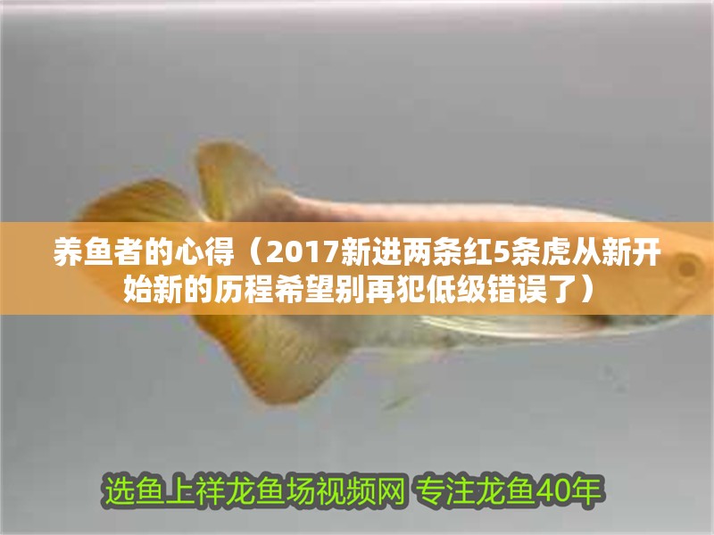 養魚者的心得（2017新進兩條紅5條虎從新開始新的歷程希望別再犯低級錯誤了）