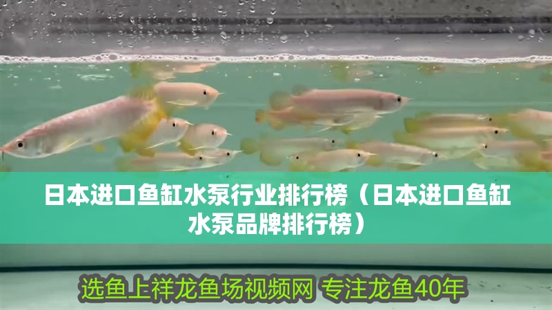 日本進口魚缸水泵行業排行榜（日本進口魚缸水泵品牌排行榜）