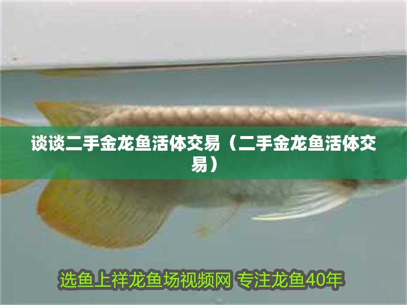 談談二手金龍魚活體交易（二手金龍魚活體交易） 談談二手金龍魚活體交易（二手金龍魚活體交易） 觀賞魚百科 第2張