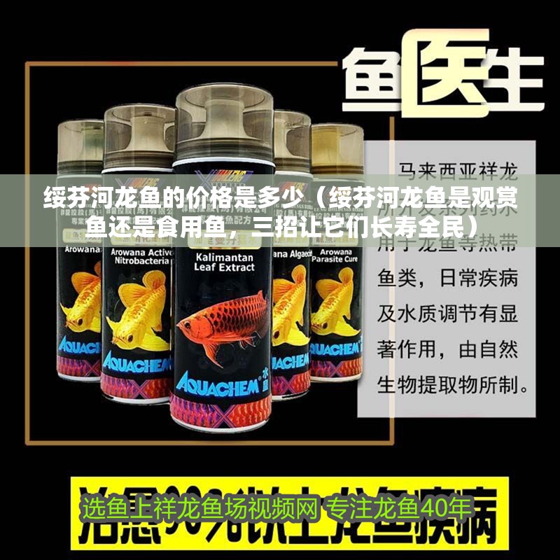 綏芬河龍魚的價格是多少（綏芬河龍魚是觀賞魚還是食用魚，三招讓它們長壽全民）