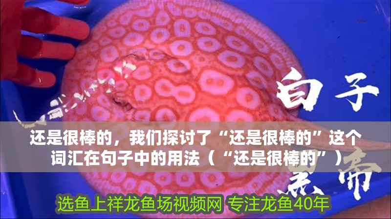 還是很棒的，我們探討了“還是很棒的”這個詞匯在句子中的用法（“還是很棒的”）