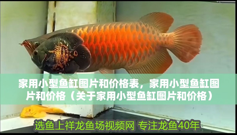 家用小型魚缸圖片和價格表，家用小型魚缸圖片和價格（關于家用小型魚缸圖片和價格）