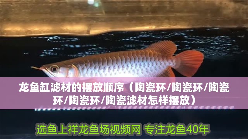 龍魚缸濾材的擺放順序（陶瓷環/陶瓷環/陶瓷環/陶瓷環/陶瓷濾材怎樣擺放）