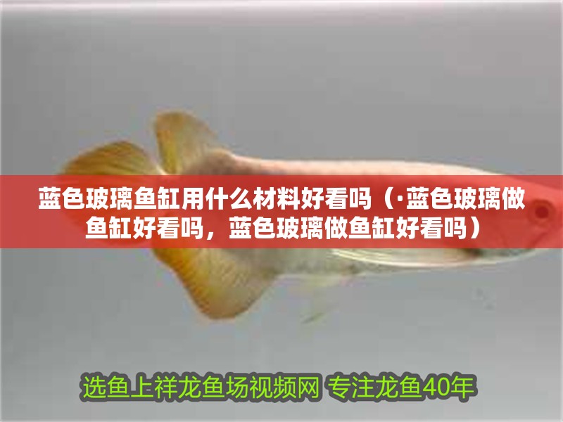 藍色玻璃魚缸用什么材料好看嗎（·藍色玻璃做魚缸好看嗎，藍色玻璃做魚缸好看嗎）