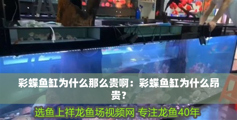 彩蝶魚缸為什么那么貴啊：彩蝶魚缸為什么昂貴？