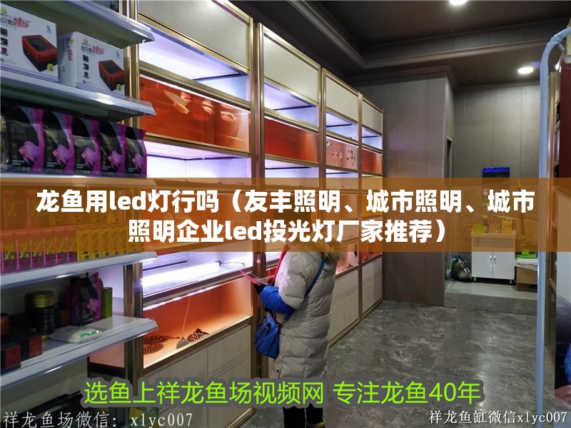 龍魚用led燈行嗎（友豐照明、城市照明、城市照明企業led投光燈廠家推薦）