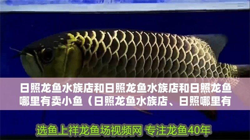 日照龍魚水族店和日照龍魚水族店和日照龍魚哪里有賣小魚（日照龍魚水族店、日照哪里有賣小魚的）