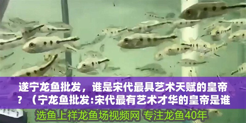 遂寧龍魚批發(fā)，誰是宋代最具藝術(shù)天賦的皇帝？（寧龍魚批發(fā):宋代最有藝術(shù)才華的皇帝是誰）