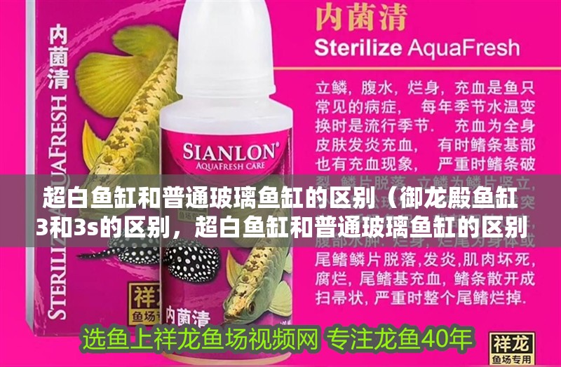 超白魚缸和普通玻璃魚缸的區(qū)別（御龍殿魚缸3和3s的區(qū)別，超白魚缸和普通玻璃魚缸的區(qū)別）