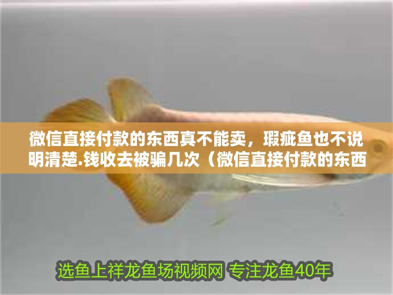 微信直接付款的東西真不能賣，瑕疵魚也不說明清楚.錢收去被騙幾次（微信直接付款的東西真不能賣瑕疵魚也不說明清楚）