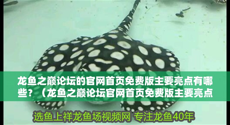 龍魚之巔論壇的官網首頁免費版主要亮點有哪些？（龍魚之巔論壇官網首頁免費版主要亮點）
