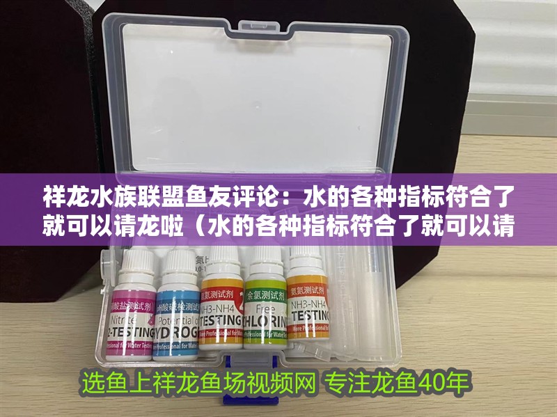 祥龍水族聯(lián)盟魚友評論：水的各種指標符合了就可以請龍啦（水的各種指標符合了就可以請龍啦）