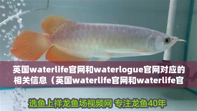 英國waterlife官網和waterlogue官網對應的相關信息（英國waterlife官網和waterlife官網和waterlogue官網對應的相關信息）