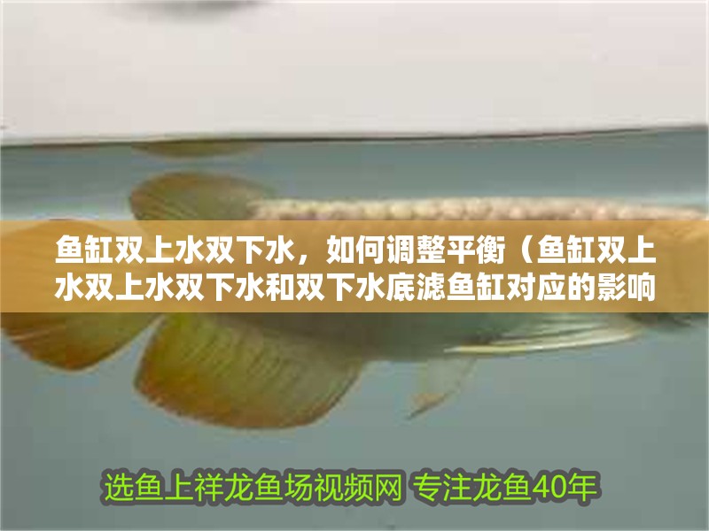 魚缸雙上水雙下水，如何調整平衡（魚缸雙上水雙上水雙下水和雙下水底濾魚缸對應的影響）
