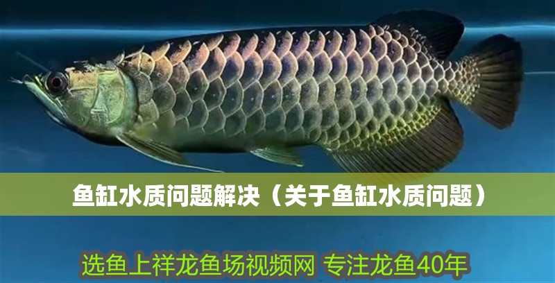 魚缸水質問題解決（關于魚缸水質問題）