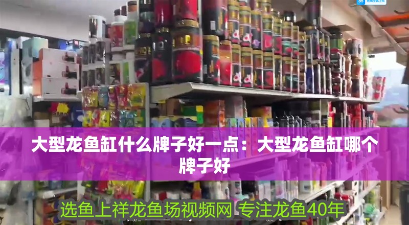 大型龍魚缸什么牌子好一點：大型龍魚缸哪個牌子好