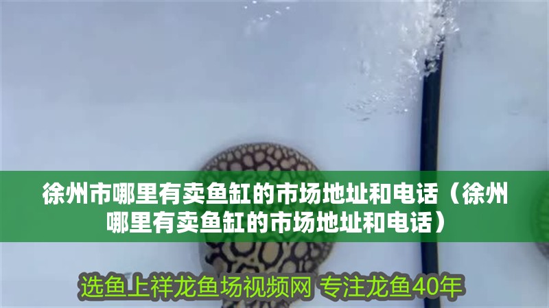 徐州市哪里有賣魚缸的市場地址和電話（徐州哪里有賣魚缸的市場地址和電話）