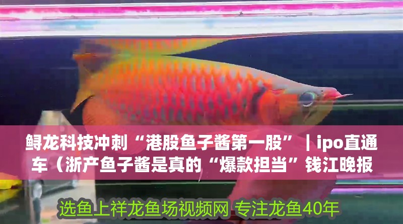 鱘龍科技沖刺“港股魚子醬第一股”｜ipo直通車（浙產(chǎn)魚子醬是真的“爆款擔(dān)當(dāng)”錢江晚報(bào)凈利潤率超貴州茅臺）